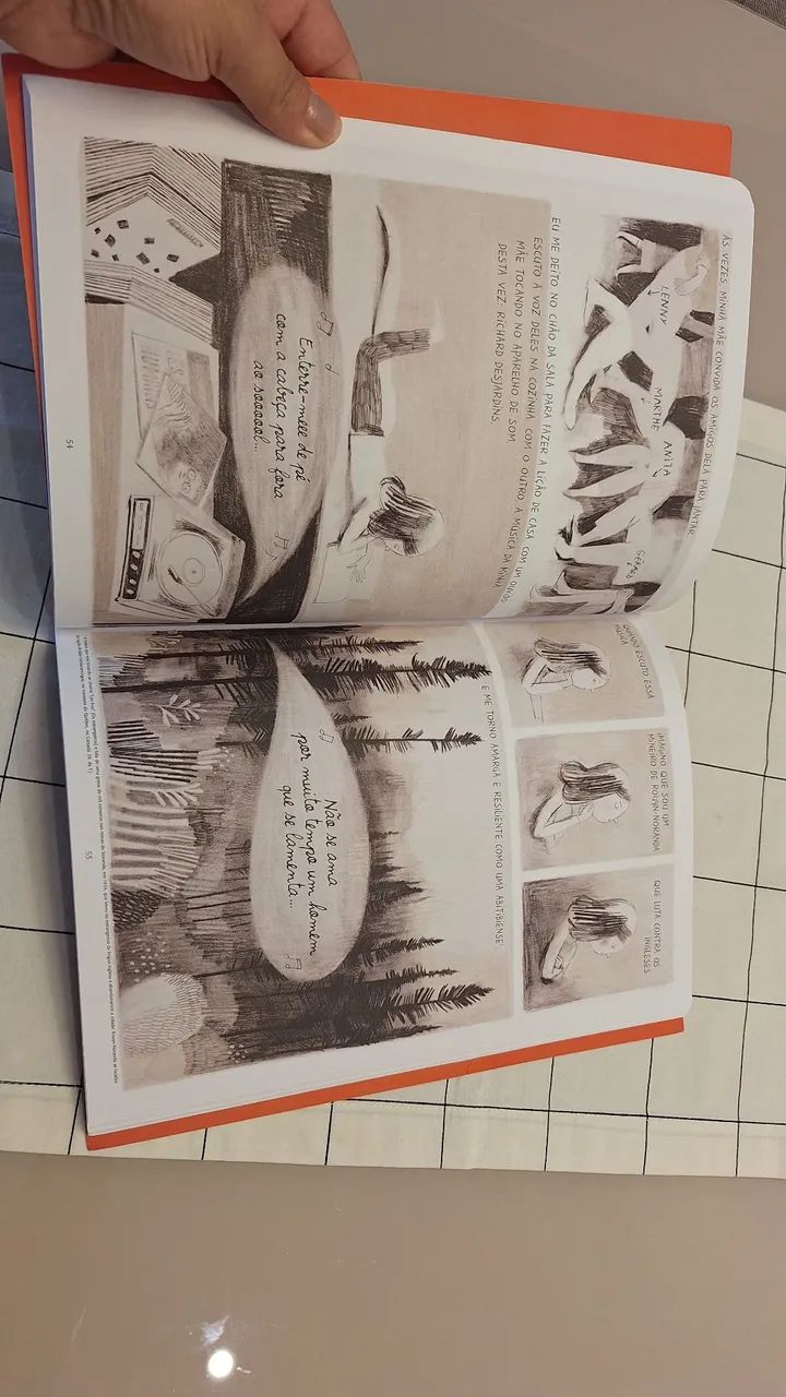 LIVRO JANE, A RAPOSA E EU - Foto 4