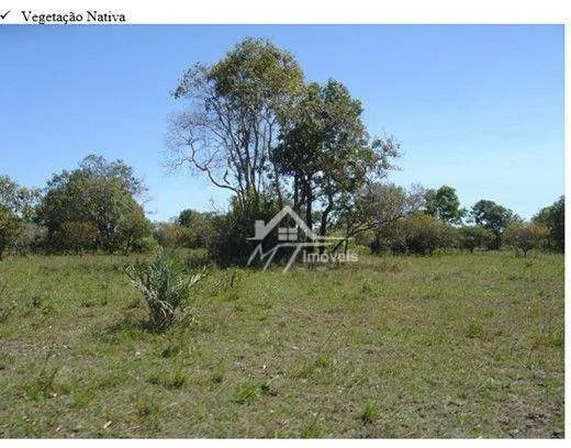 FAZENDA A VENDA EM MATO GROSSO - Foto 4