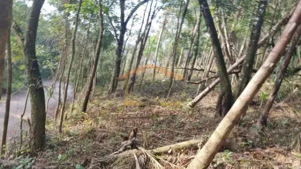 TERRENO À VENDA - Mato Dentro. 1.134 m².