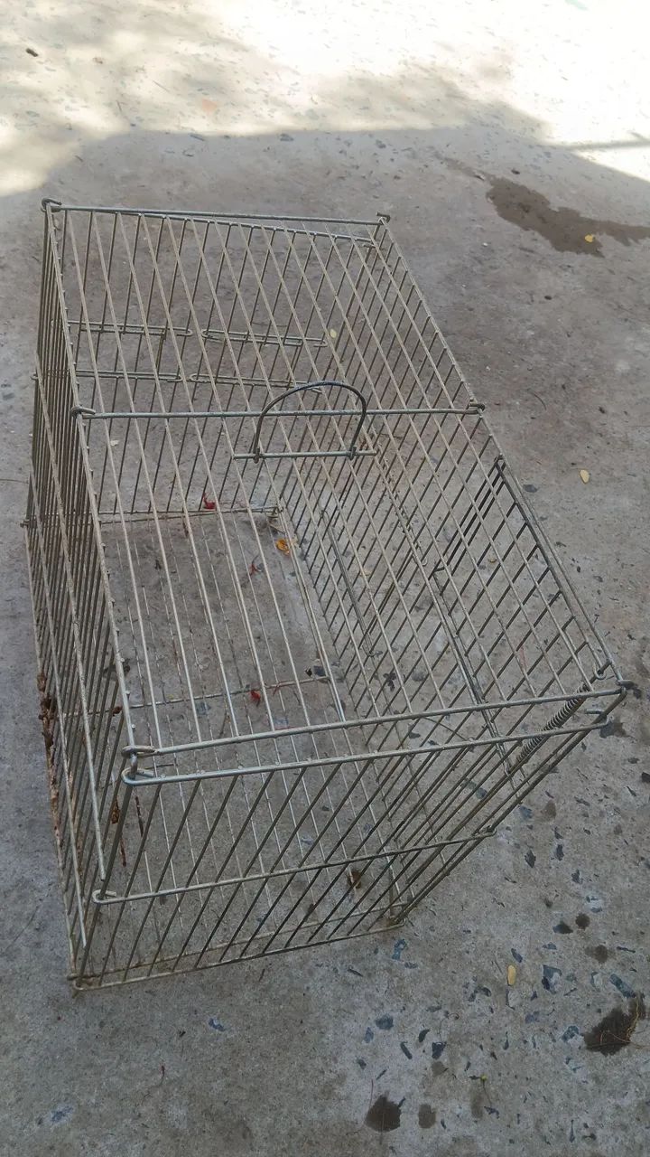 Gaiola (desapego) - Foto 4