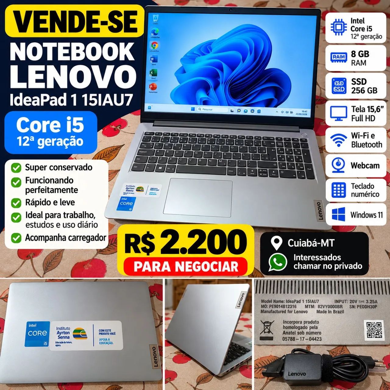 Estufa de salgado e engradado  - Foto 3