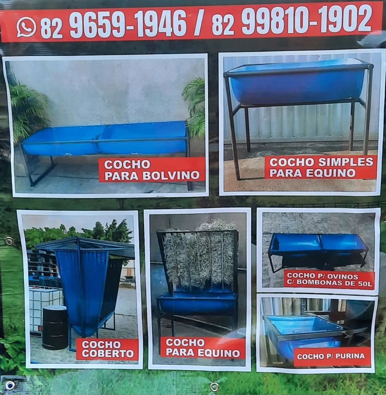 Cocho em geral  - Foto 4