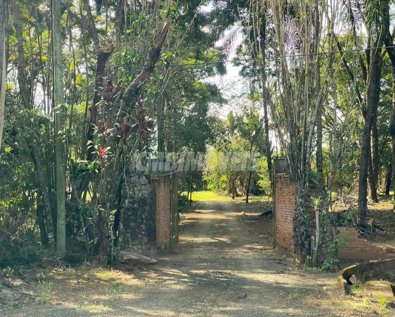 sítio - Pirapitingui - Santo Antônio de Posse - Foto 3
