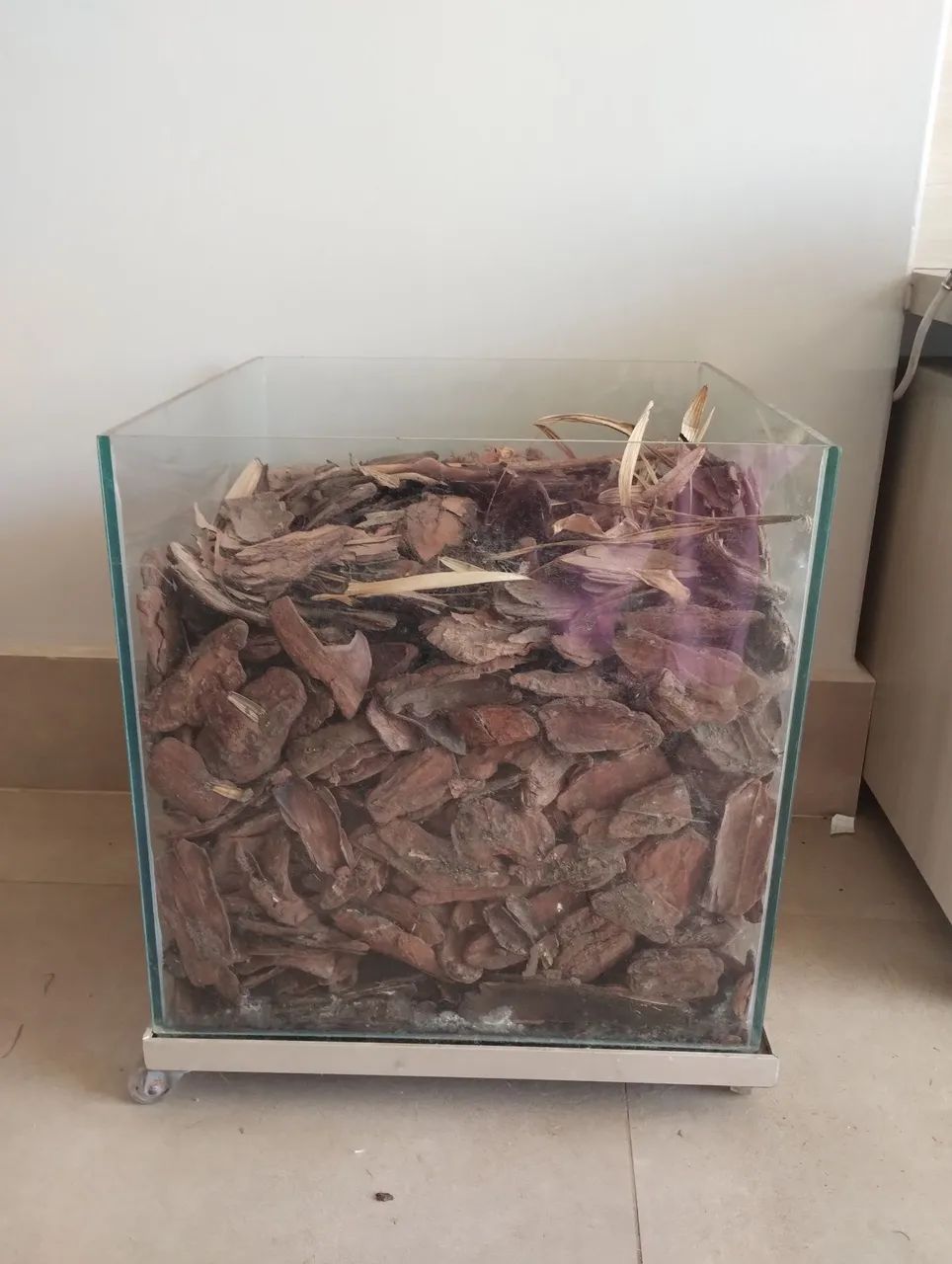 Vaso de vidro com rodinhas  - Foto 4