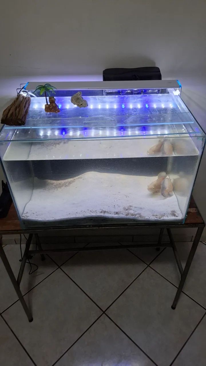 Aquário