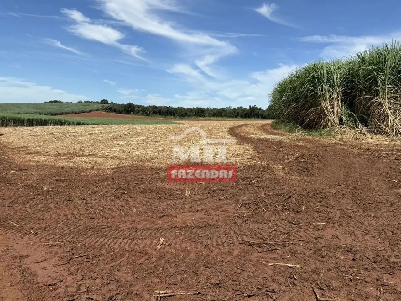 Fazenda 90 Alqueires (440 Hectares ) Prata - MG - Foto 5