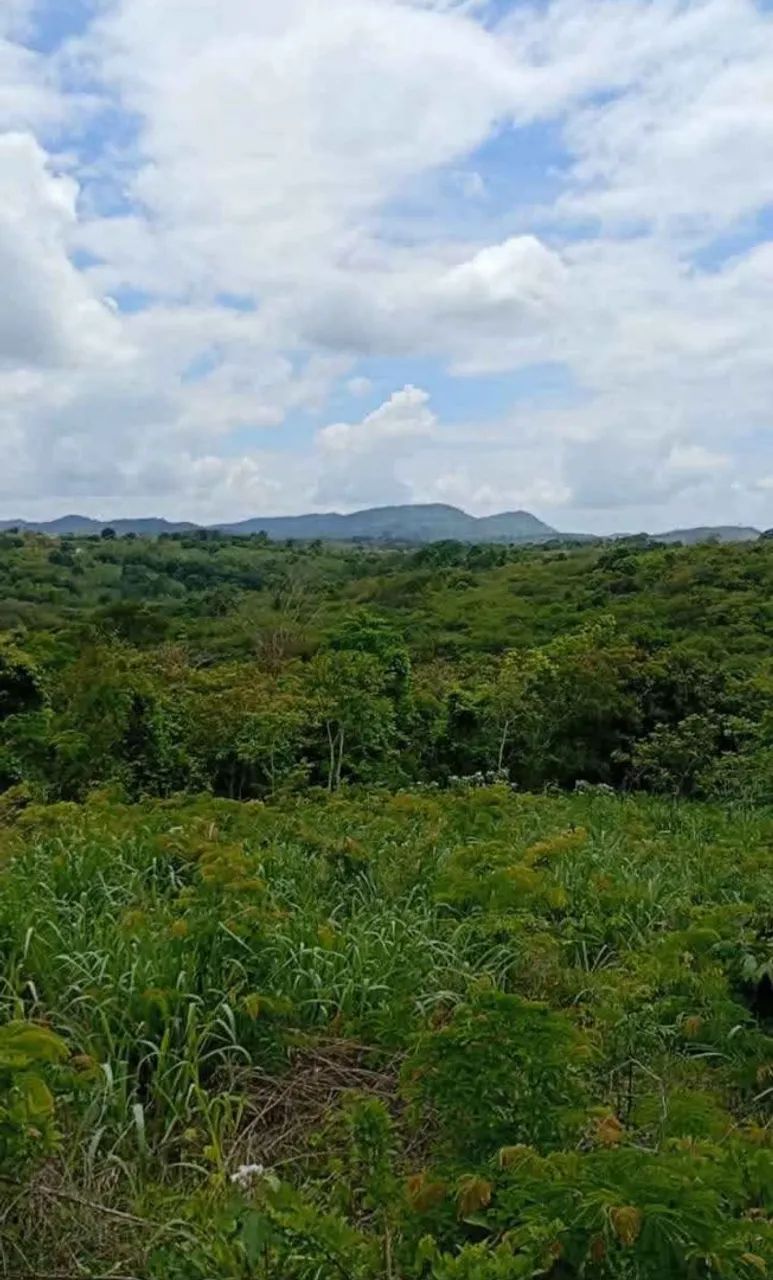 Terreno e lote na serra de mulungu  - Foto 3
