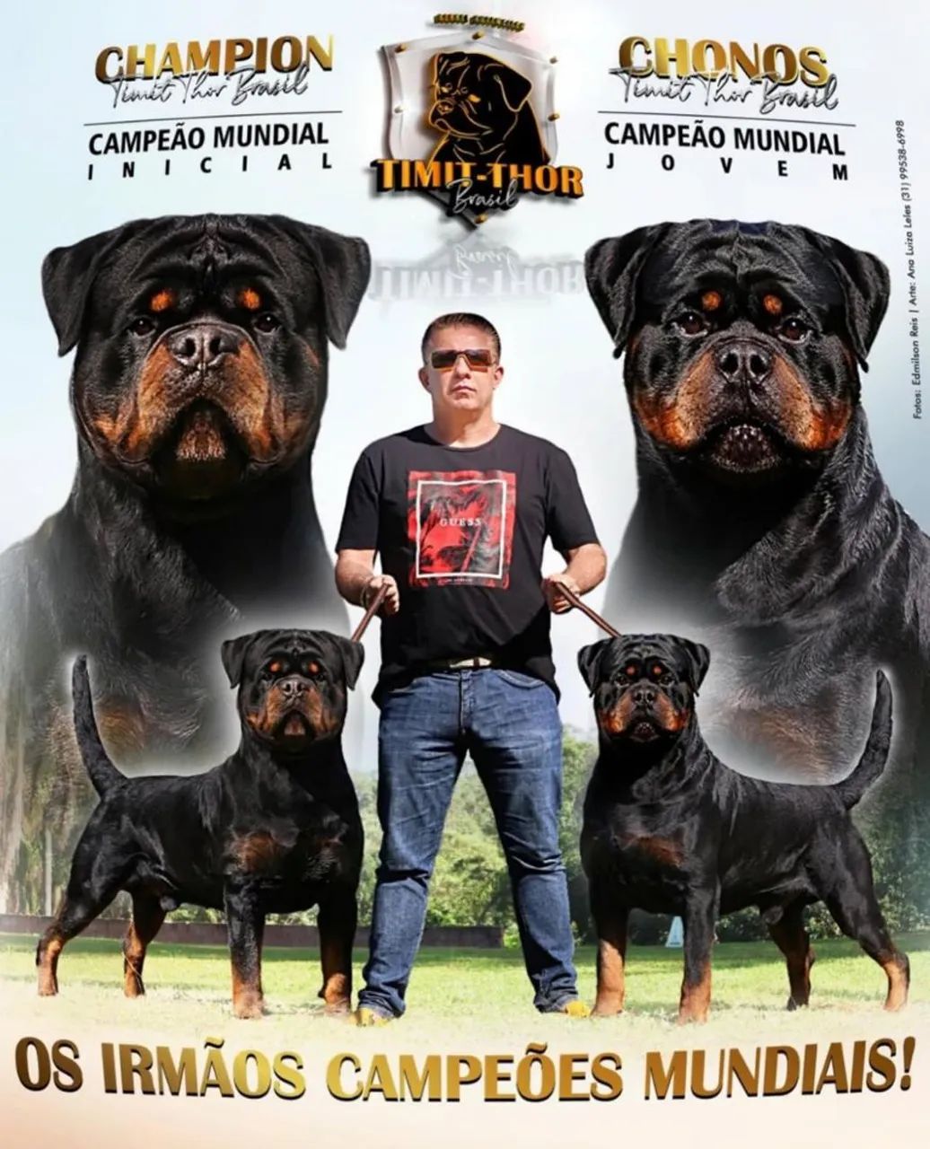 Filhotes de Rottweiler  - Foto 4