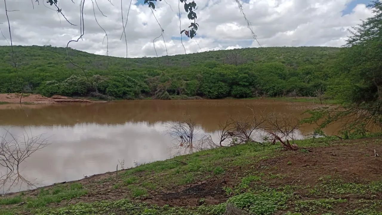 Foto - Brejões - 