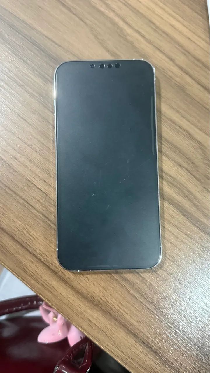 iPhone 13 Pro Max - 256gb