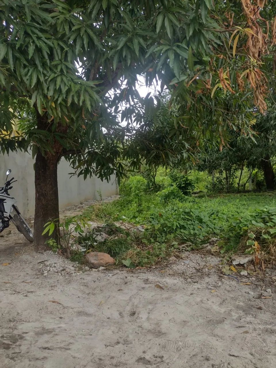 Vendo Terreno em Itamaracá 