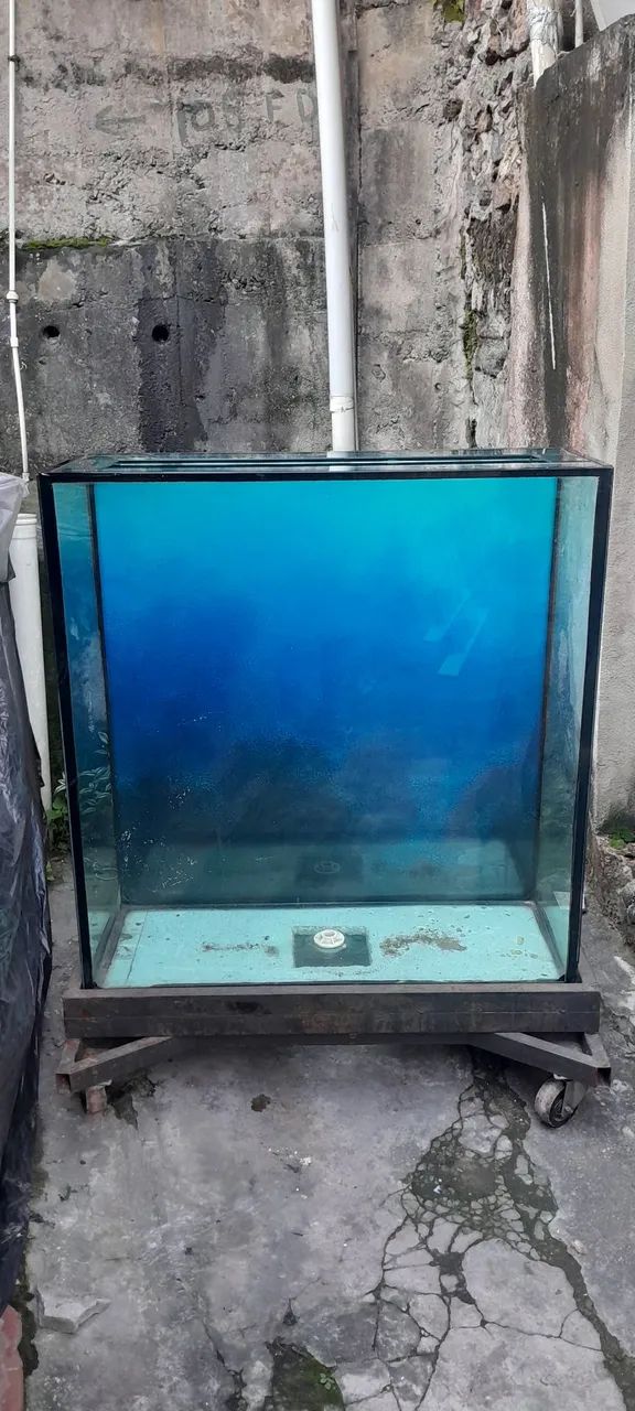 Aquário de 462 Litros  - Foto 2