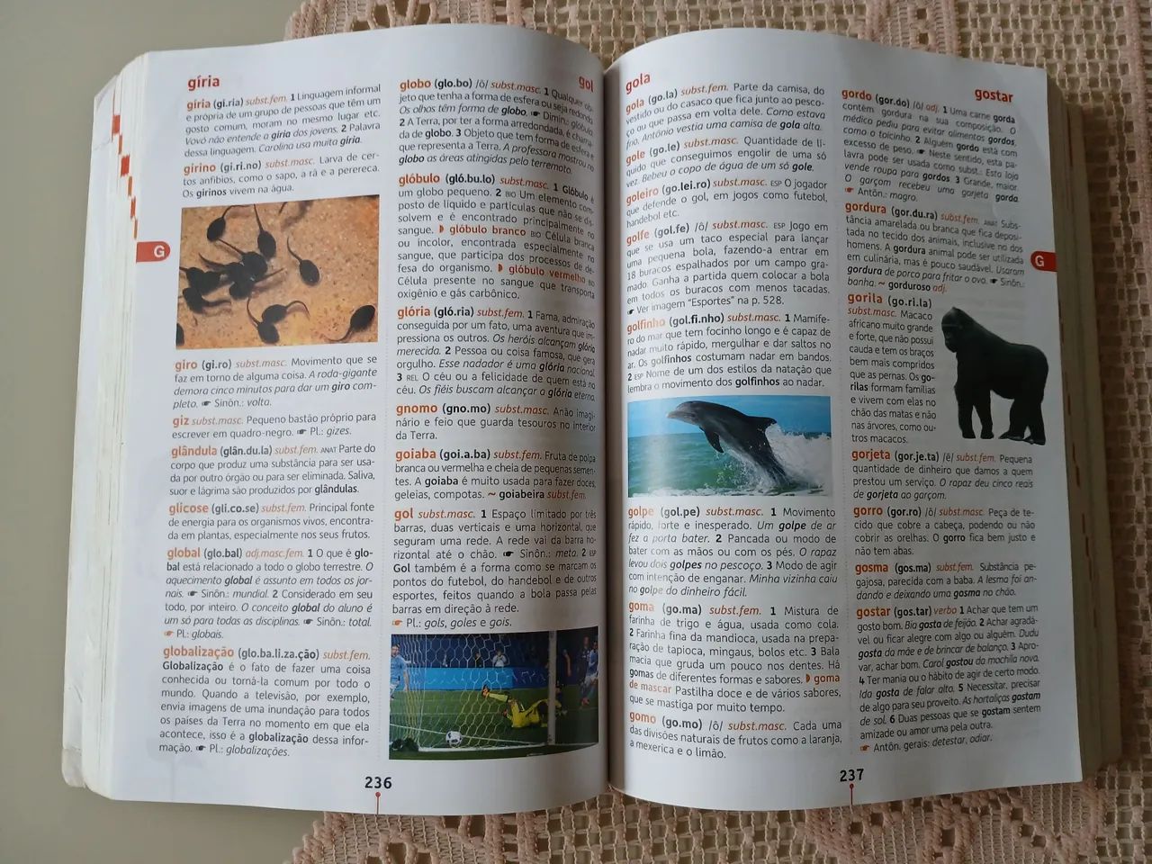 Dicionário Houais Ilustrado - Foto 3