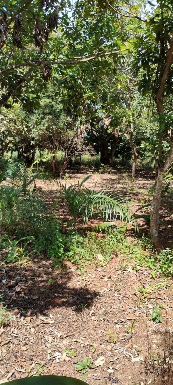 Chácara em Silvânia -Goiás  - Foto 3