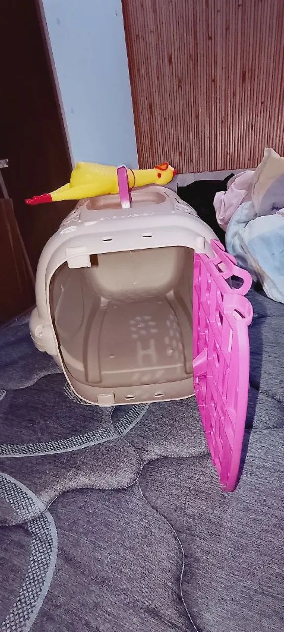 Caixa transportadora para pet + Galo de brinquedo. - Foto 2