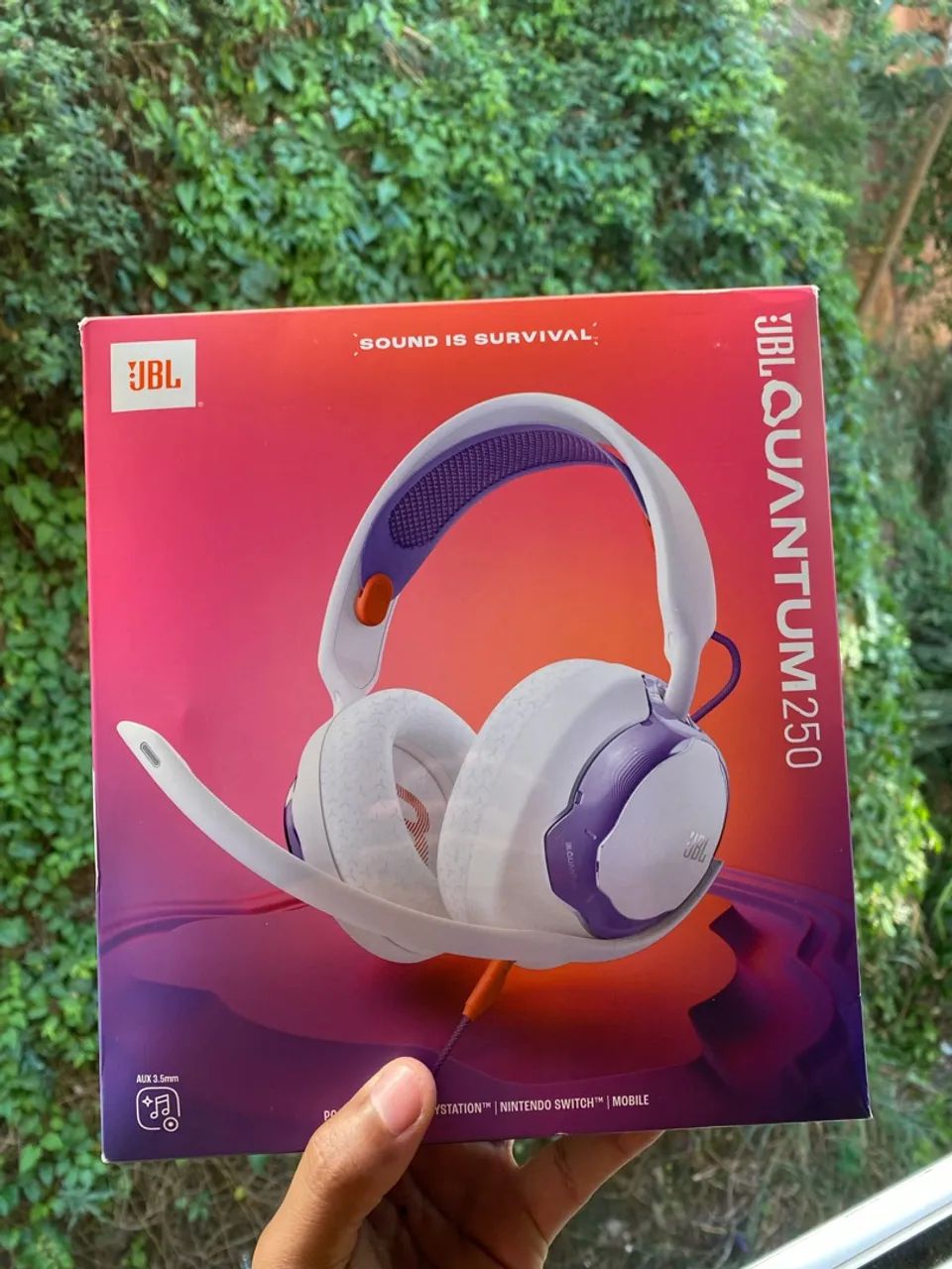 JBL Quantum 250