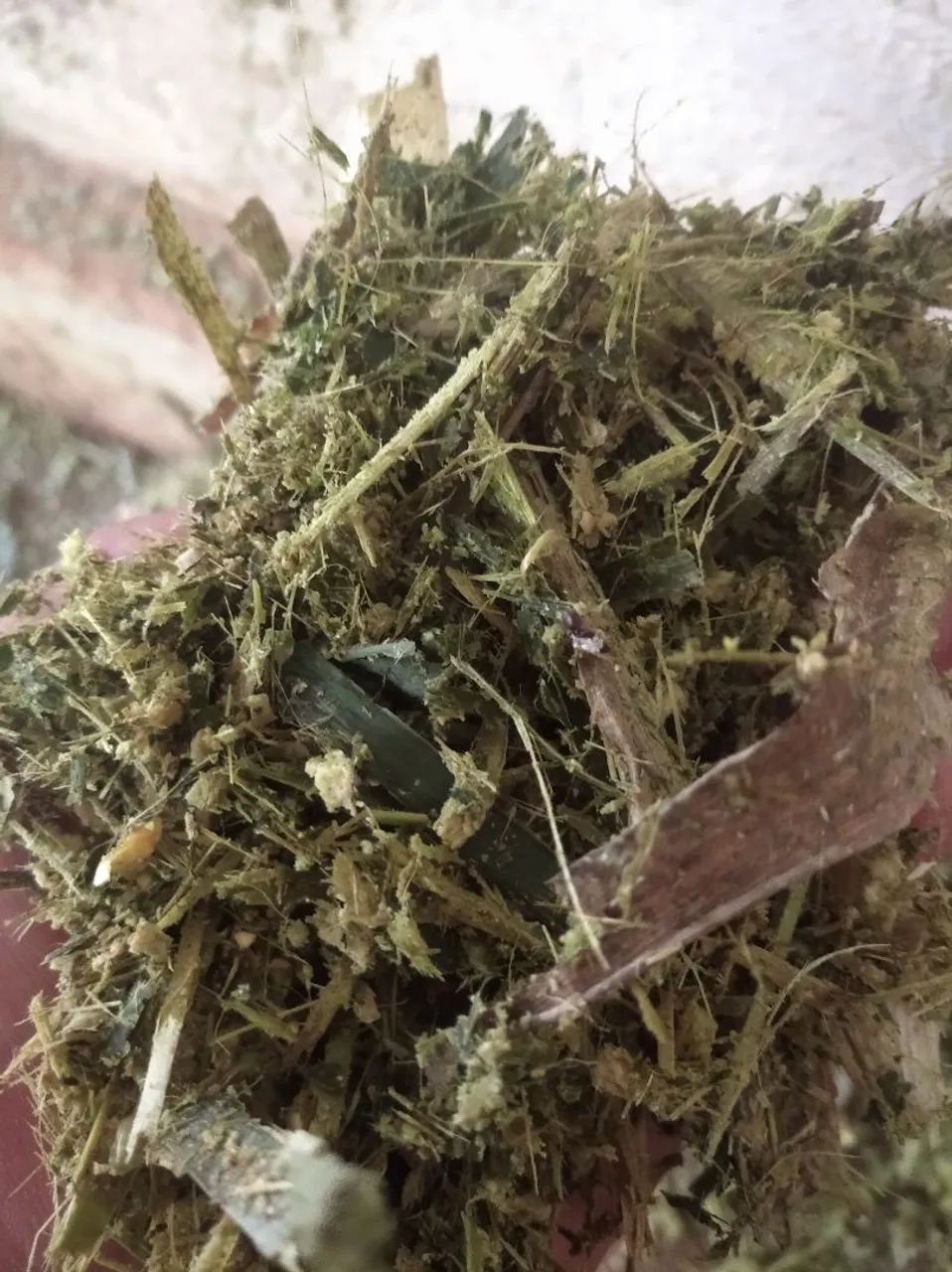 Silagem de milho 30kg - Foto 4