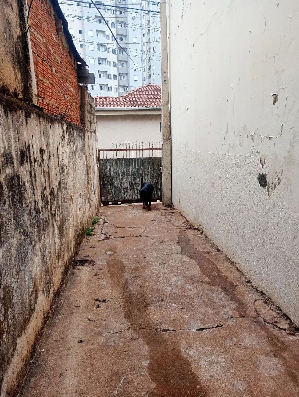 Caos pra segurança - Foto 2