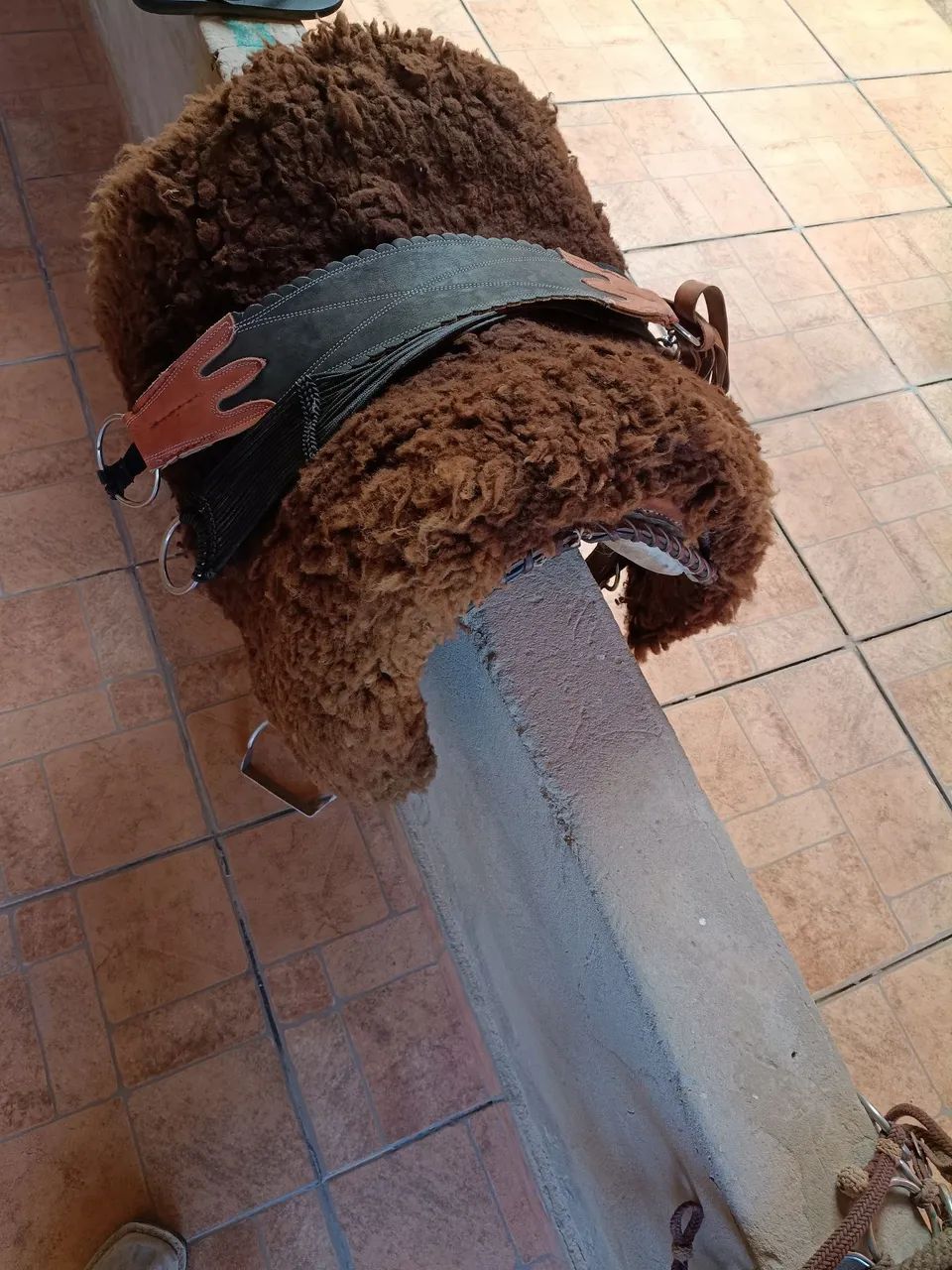 Arreio - Foto 3