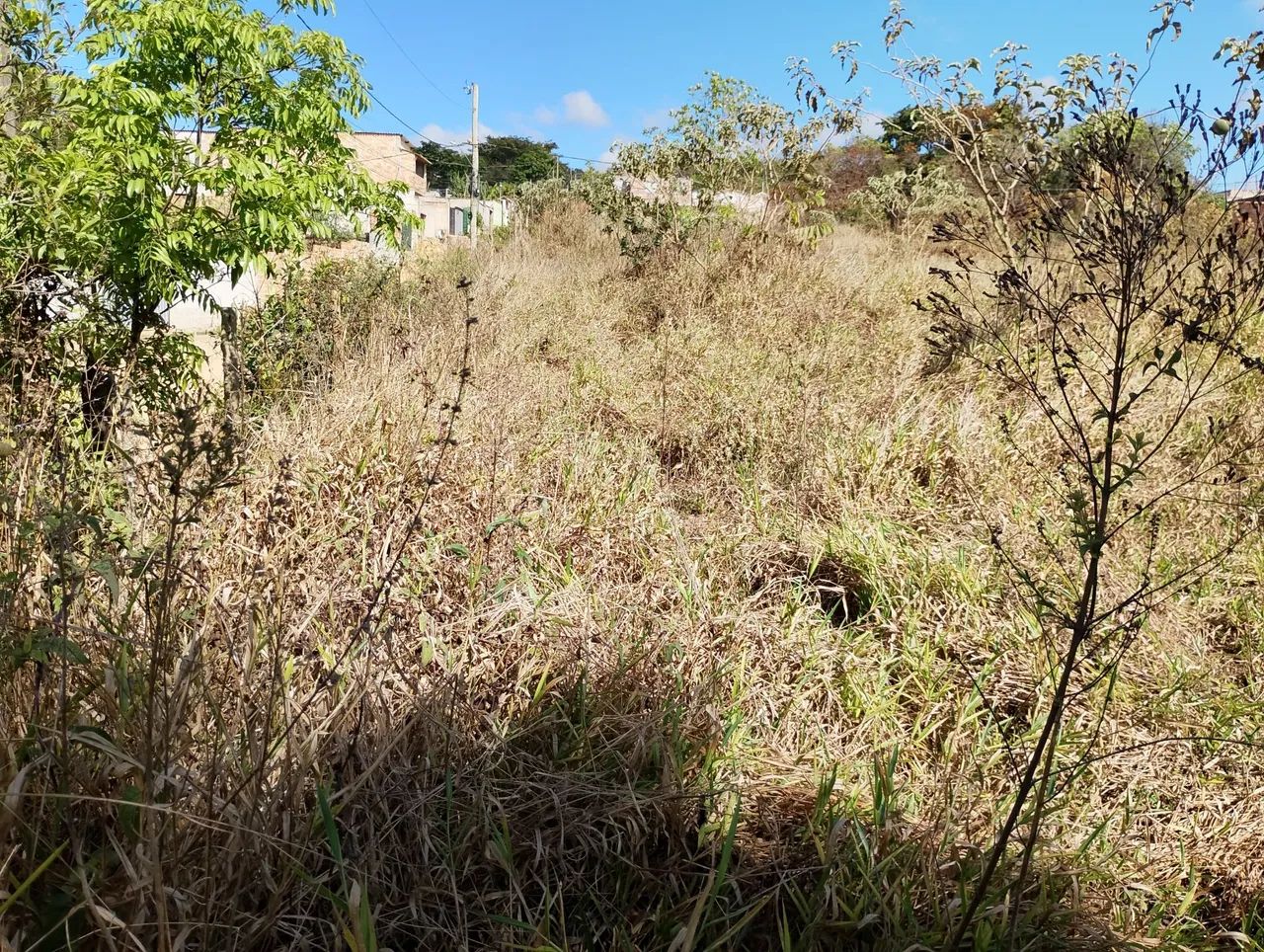 Excelente lote plano  - Foto 4