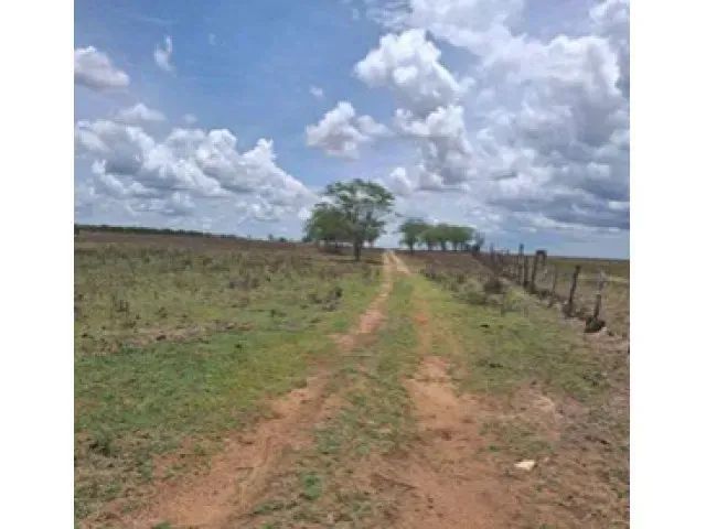 Sítio c/ 80ha em Girau do Ponciano/AL - Foto 4