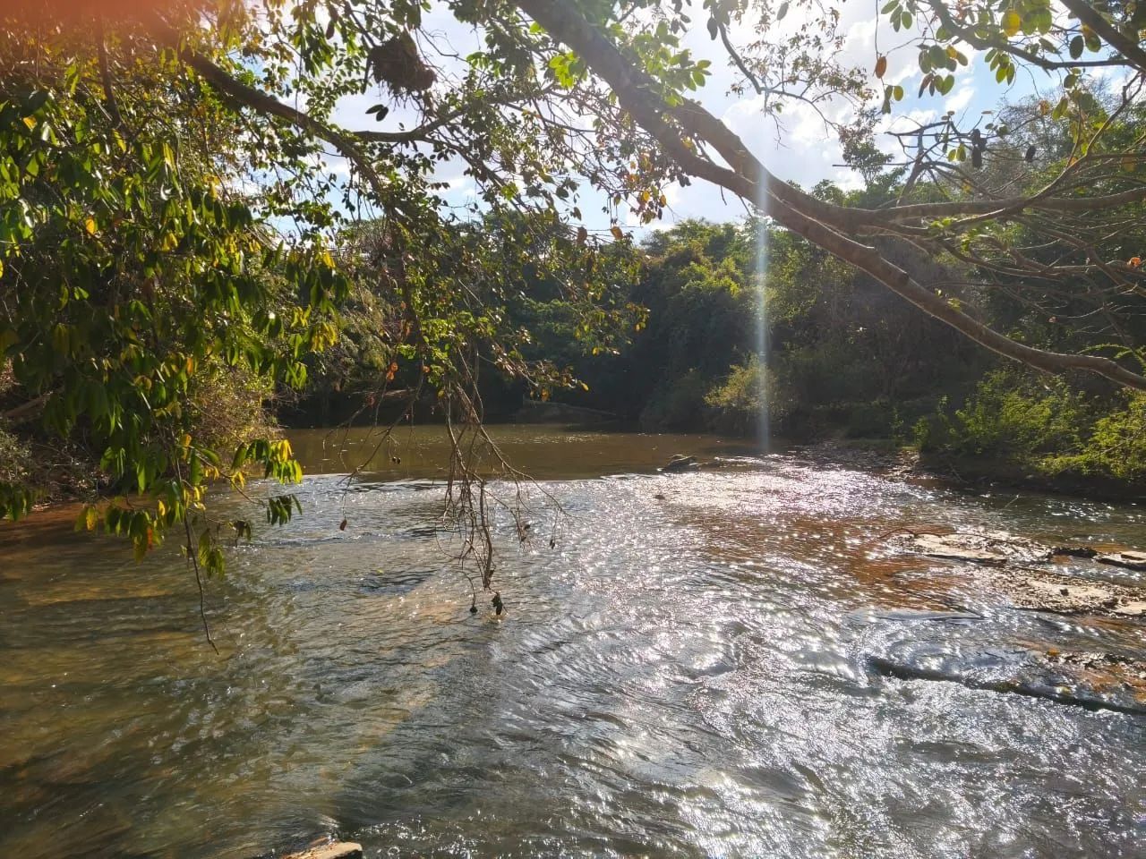 Fazendinha em Bonfinopolis de Minas - Foto 2