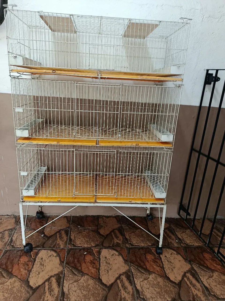 Gaiola pinteiro - Foto 4