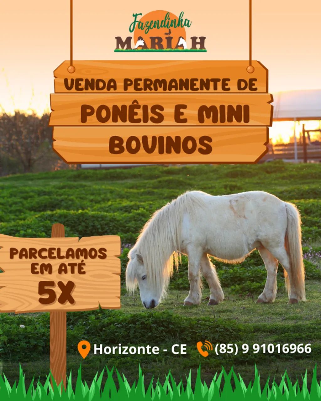 PONEI À VENDA - Foto 2