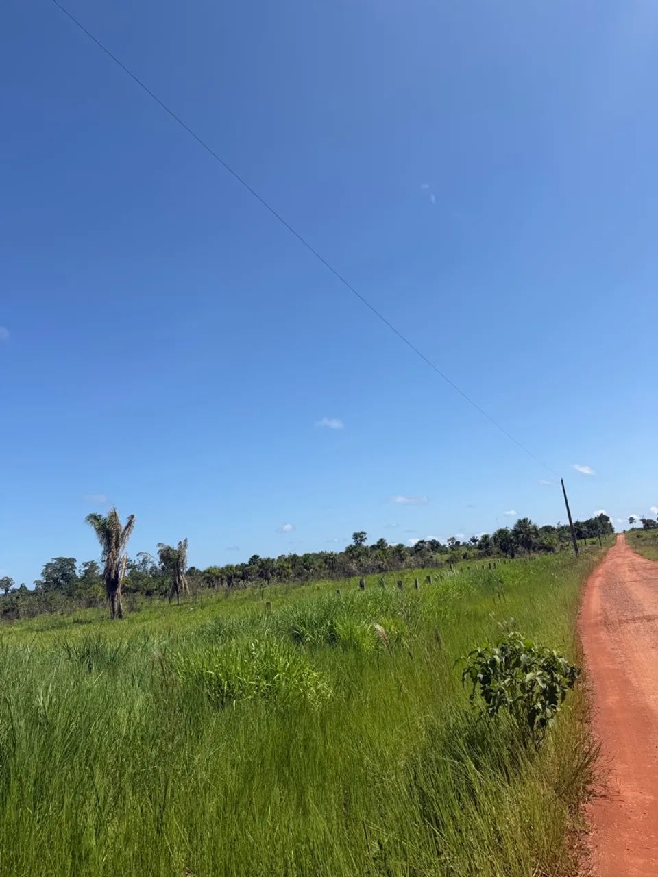 fazendinha barato no Cantá  - Foto 5