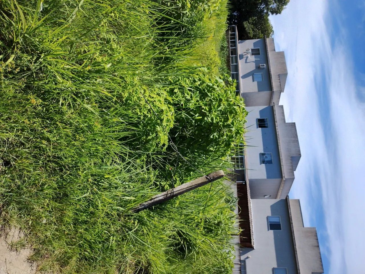 Terreno escriturado na servidão das águias com 1.180m² - Foto 5