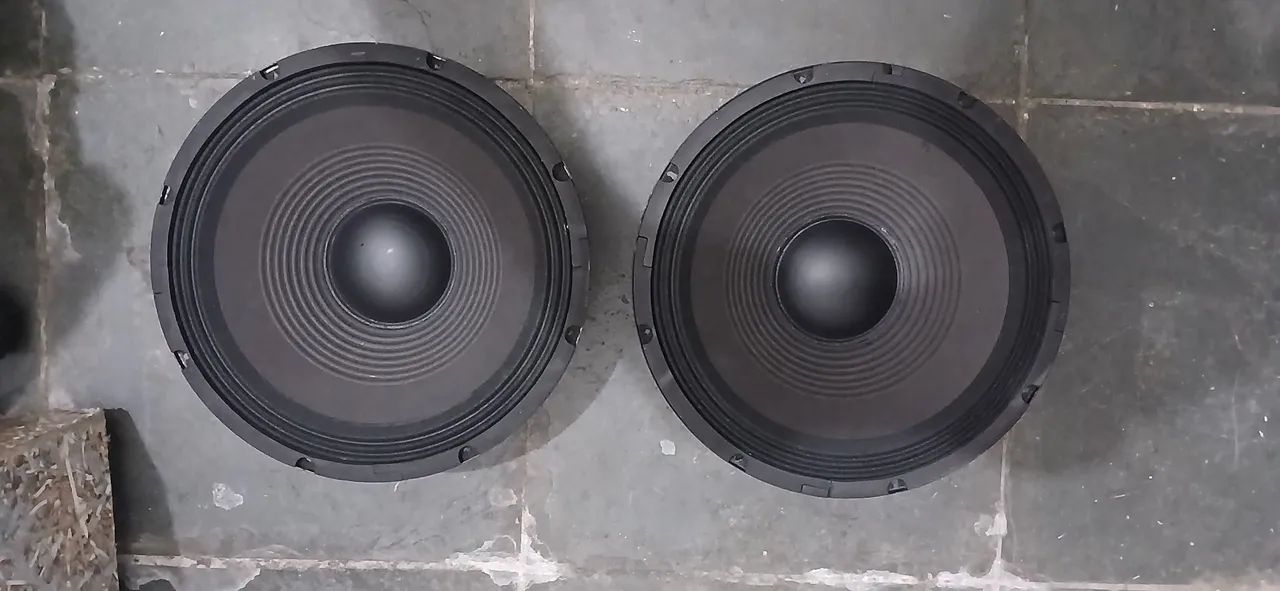 Par de woofers cone seco 250w 