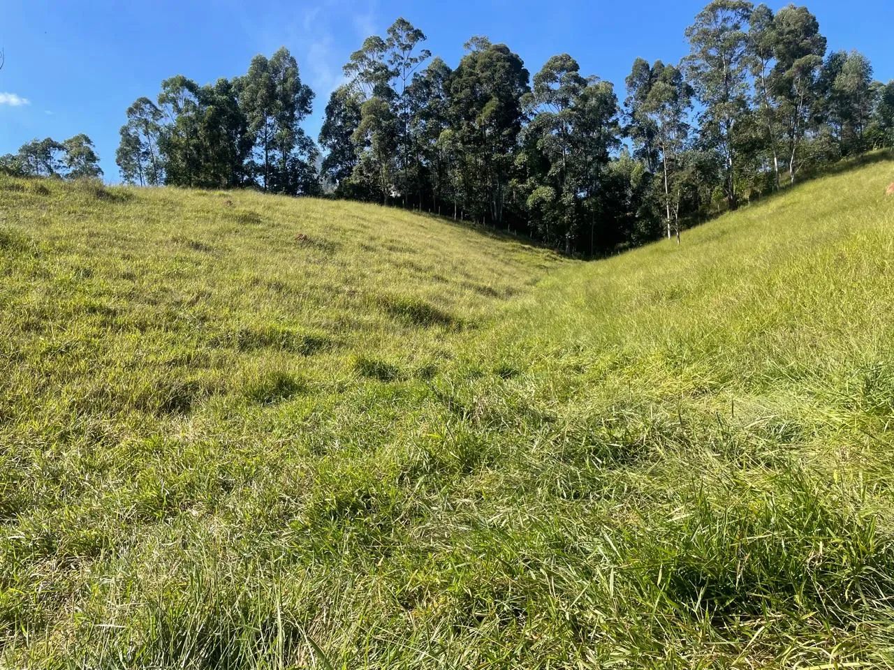 Sítio em São Luíz do Paraitinga - Foto 5