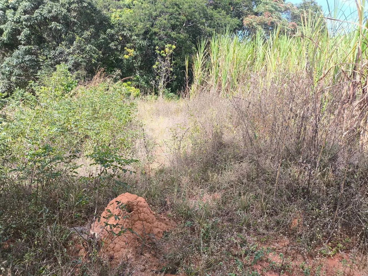 Terreno em FUNILÂNDIA  - Foto 4