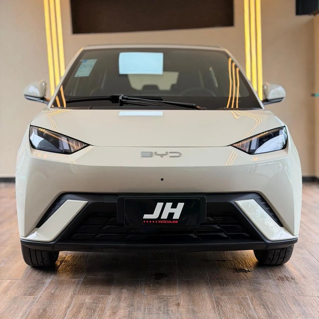 BYD Dolphin Mini (Elétrico) 2027 - Foto 2