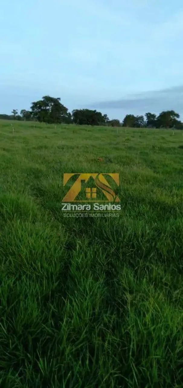 Fazenda com 53,5 Alqueires - Zona Rural - Aparecida do Rio Negro/TO - Foto 10