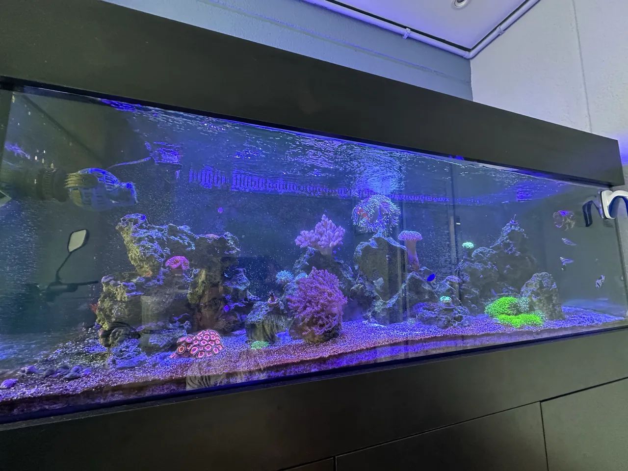 Aquário marinho 400lts completo 