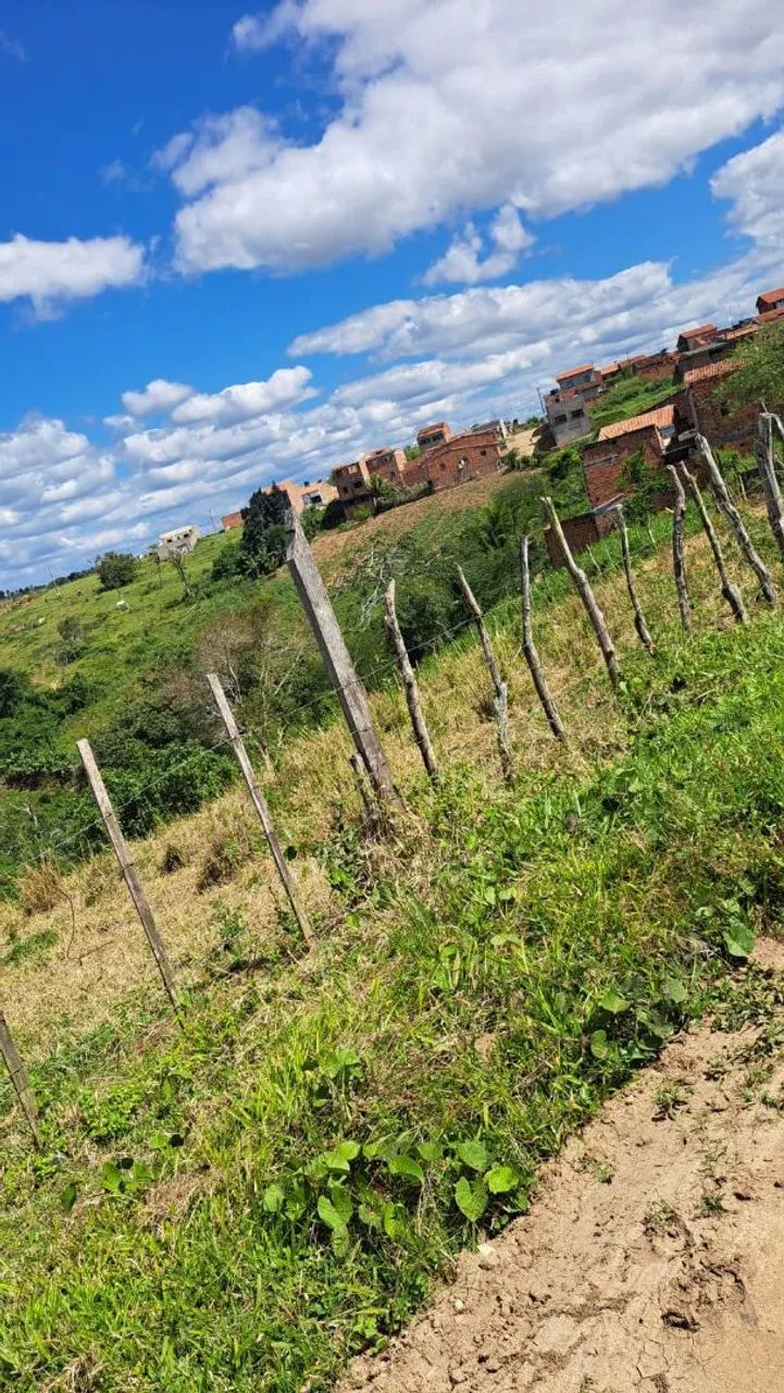 Terreno - Foto 2