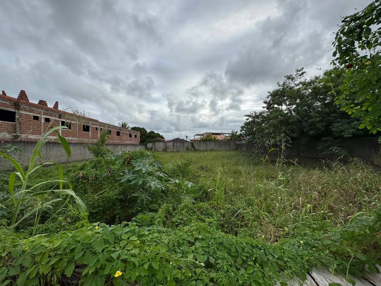 Terreno 30x50 (1.500m2) na Barra Nova  - Foto 3