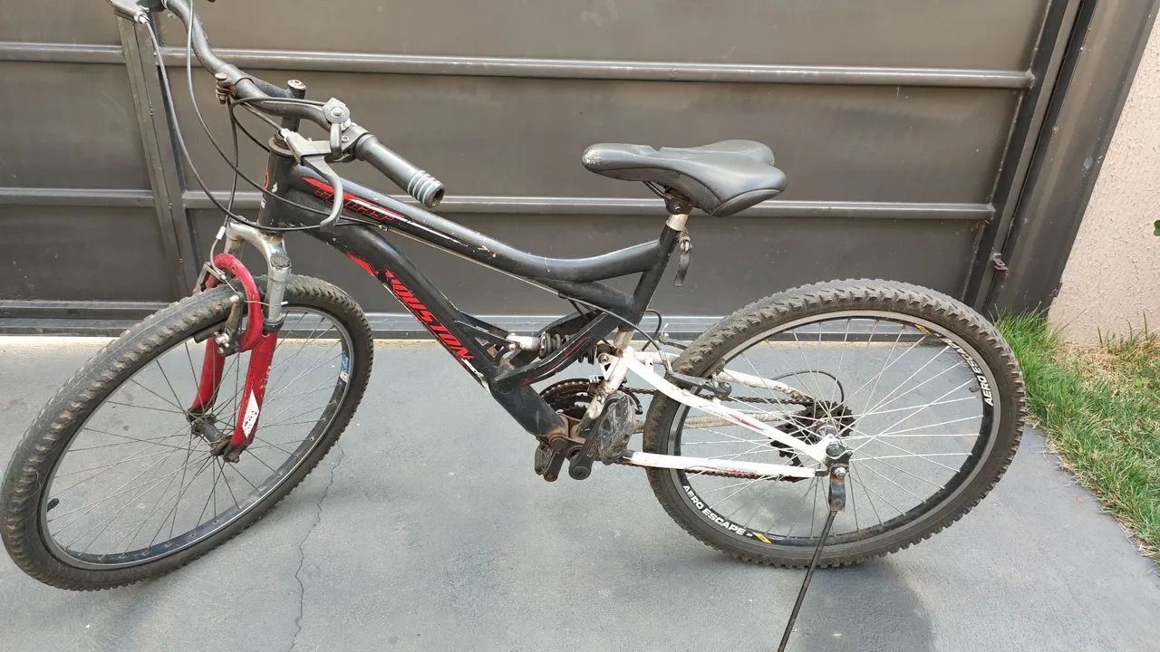 Bicicleta 