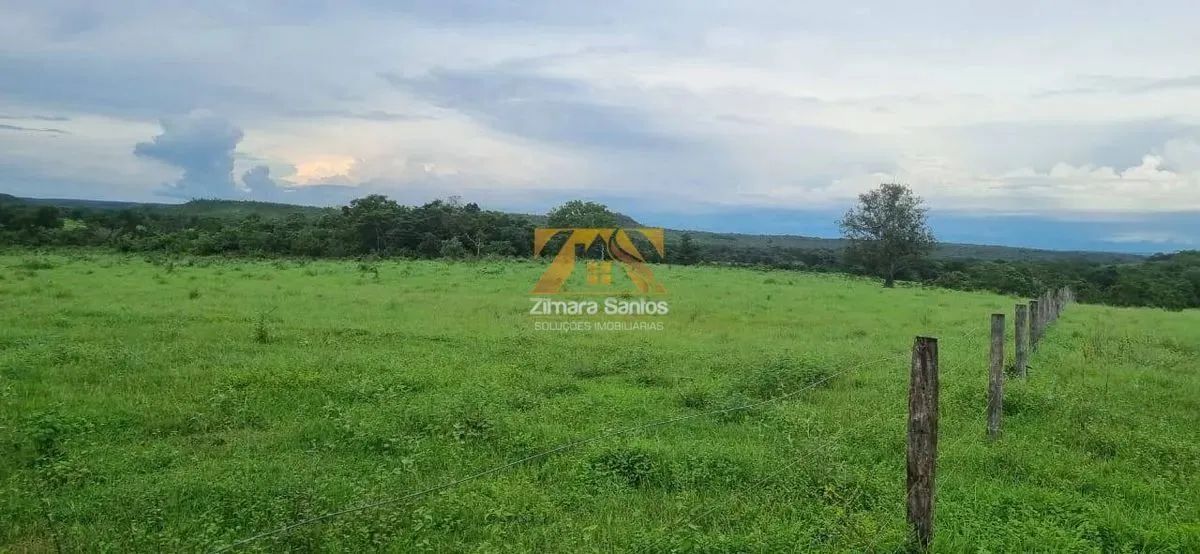 Fazenda com 53,5 Alqueires - Zona Rural - Aparecida do Rio Negro/TO - Foto 5