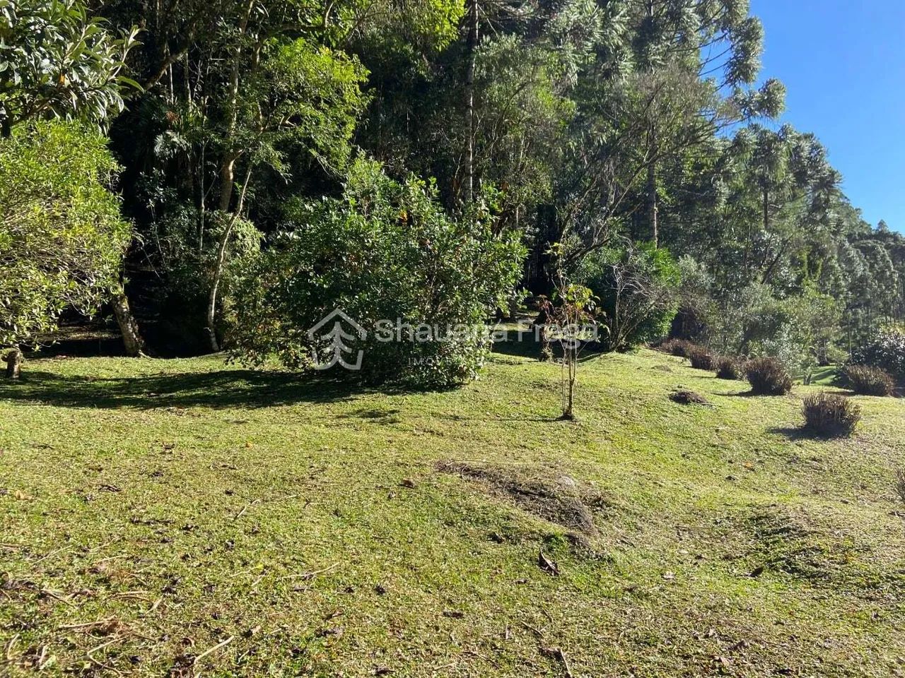 Sítio à venda no bairro Anitápolis - Anitápolis/SC - Foto 4