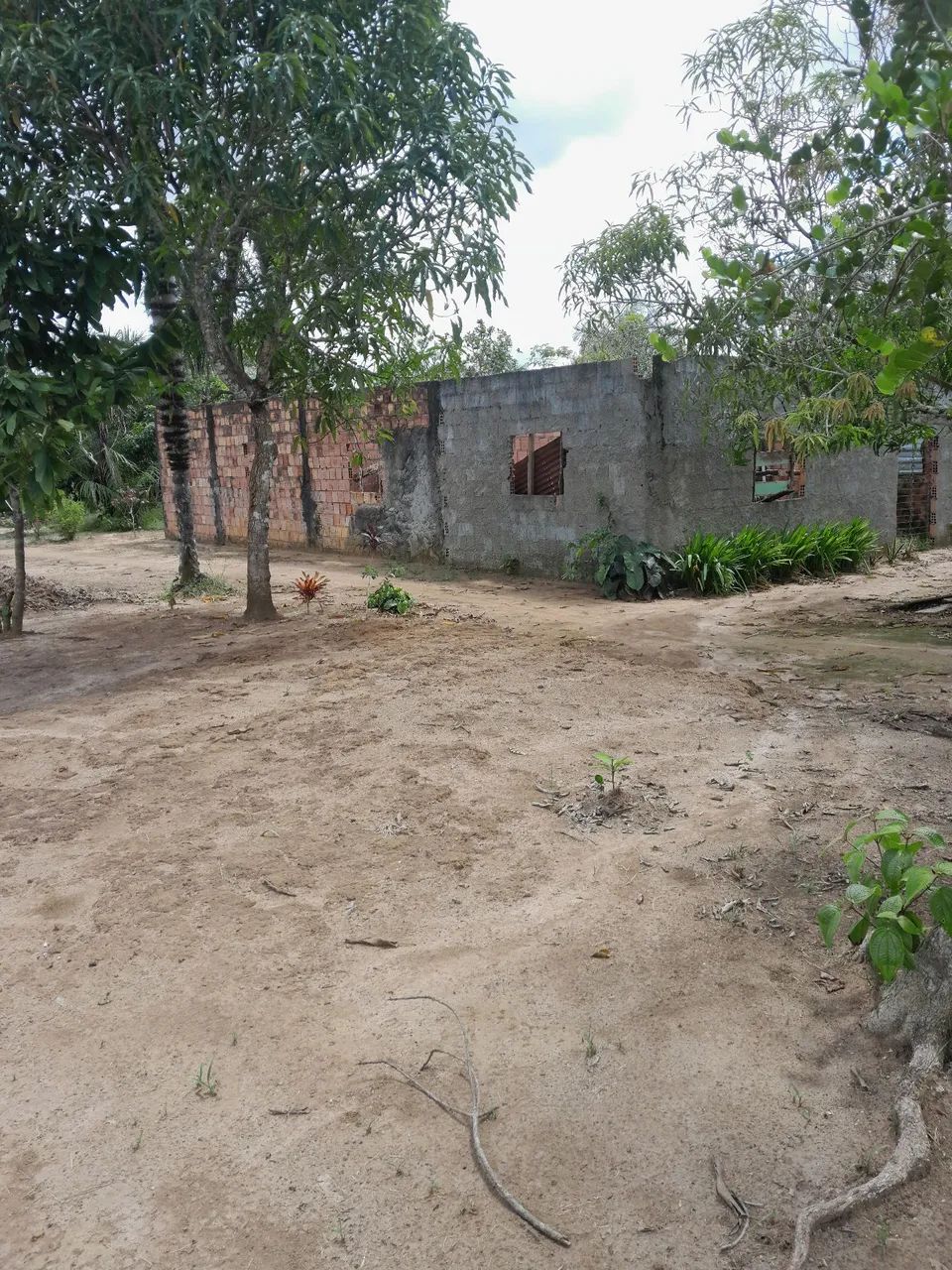 Foto - Manacapuru - Área Rural de Manacapuru