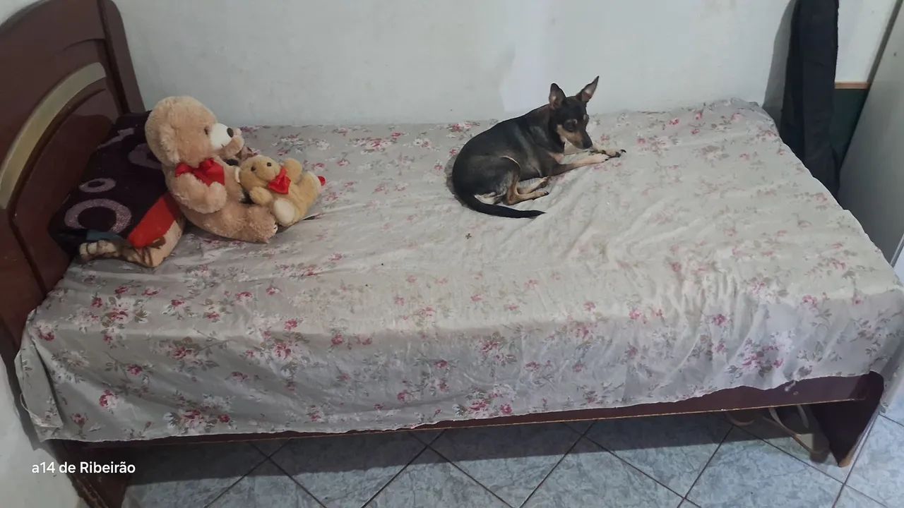 ? CAMA DE SOLTEIRO EM ÓTIMO ESTADO - OPORTUNIDADE! - Foto 4