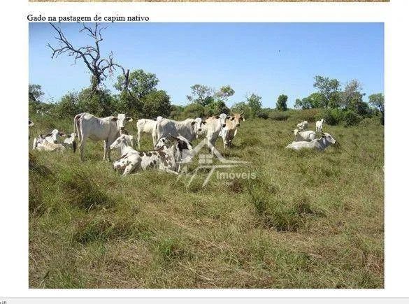 FAZENDA A VENDA EM MATO GROSSO - Foto 3