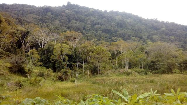 Fazenda Itajuípe - Foto 14