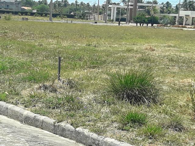 Terreno (lote) no condomínio Reserva Aimoré - Foto 12