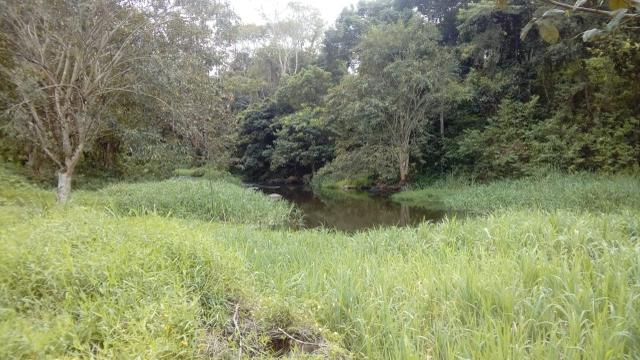 Fazenda Itajuípe - Foto 13