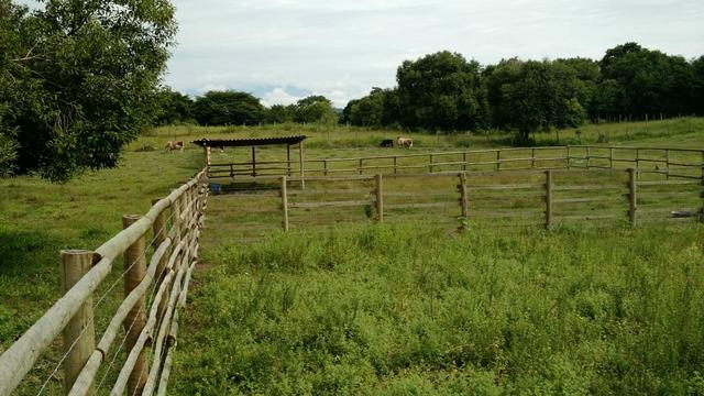 Belíssimo sítio em Agro Brasil - Cachoeiras de Macacu RJ 116 oportunidade!!!! - Foto 5