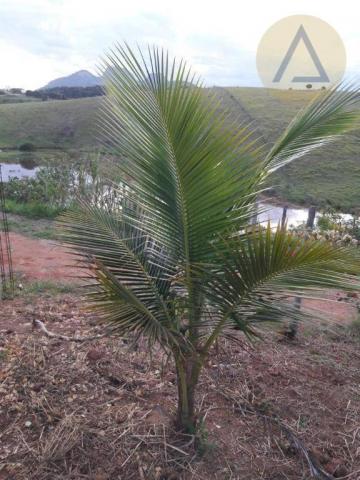 Terreno à venda, 870 m² por r$ 150.000 - quilombo - cantagalo/rj - Foto 11