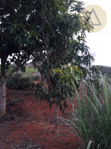 Terreno à venda, 870 m² por r$ 150.000 - quilombo - cantagalo/rj - Foto 6